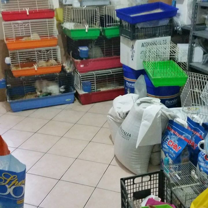 Fiumefreddo, sequestrati in un negozio 163 animali maltrattati. Ma vengono lasciati in custodia alla stessa titolare