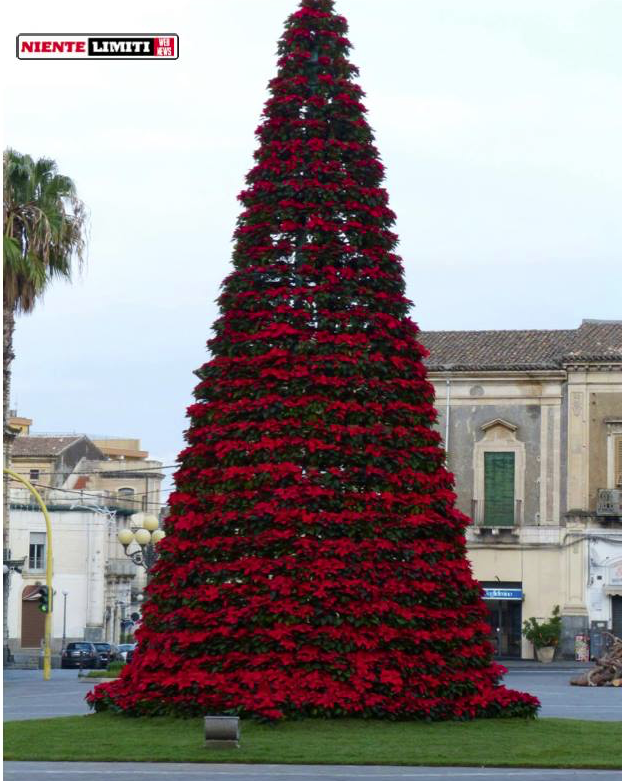 Giarre, le luminarie ci saranno e Villa Margherita è stata ripulita. Manca solo la felicità