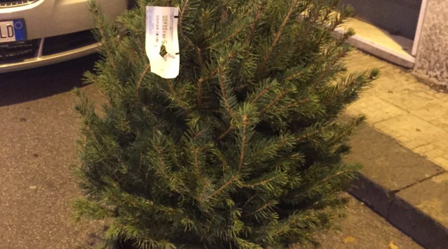Giarre, anche l’albero di Natale paga le strisce blu