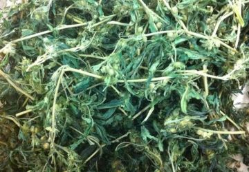 Francavilla di Sicilia, arrestato spacciatore