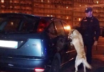 Catania, arrestato dai carabinieri rapinatore romeno