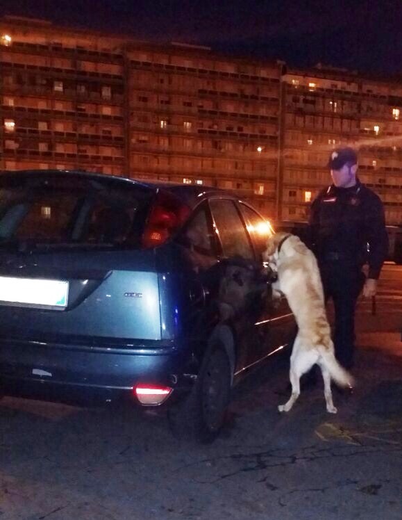 Catania, arrestato dai carabinieri rapinatore romeno