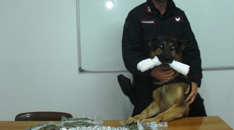 Acireale, sequestrato 1 chilo di marijuana e mezzo chilo di hashish