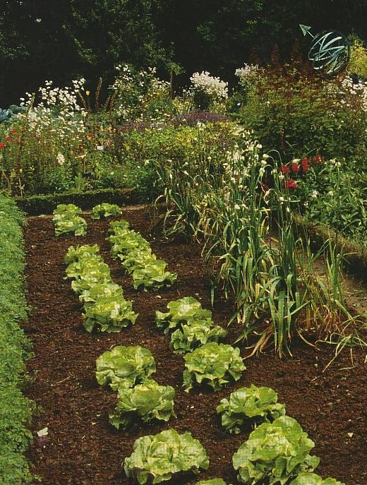 Valverde, selezione di 6 giovani per orto solidale