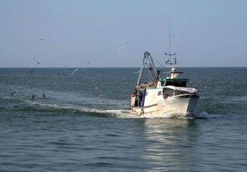 Rilasciati i pescherecci sequestrati