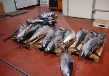 Riposto, operazione Labyrinth: sequestri e denunce