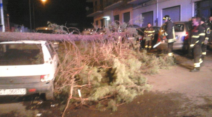 Giarre, forti raffiche di vento nella notte: albero cade sopra due auto in sosta