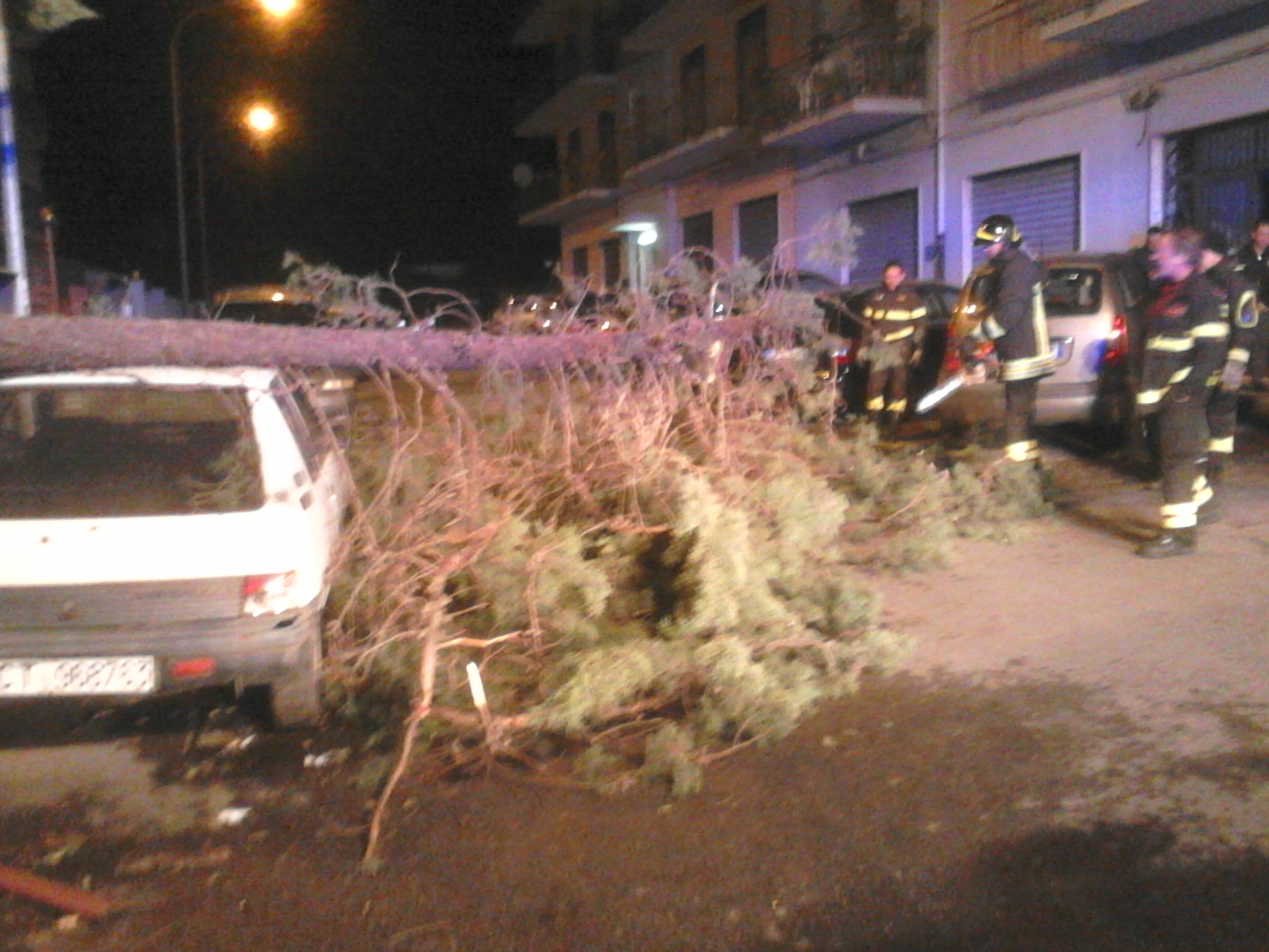 Giarre, forti raffiche di vento nella notte: albero cade sopra due auto in sosta
