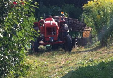 Giarre, filiere intelligenti percorso di avvicinamento a Exp&ograve; 2015