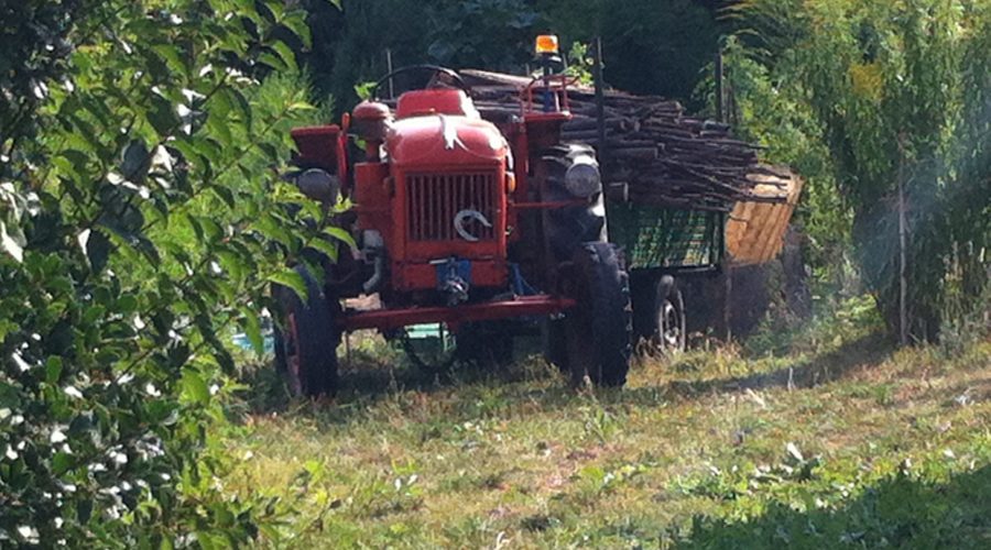 Giarre, filiere intelligenti percorso di avvicinamento a Expò 2015