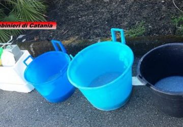 Acireale, beccati pescivendoli ambulanti. Denunciati per frode