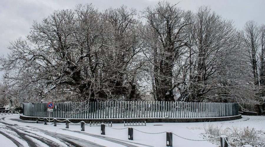 Giarre, S.Venerina, Sant’Alfio e Zafferana, nella morsa del freddo