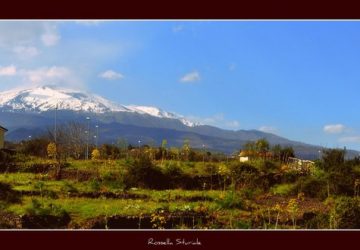 Imu agricola, scatta la protesta: &ldquo;porteremo i nostri trattori in strada&rdquo;
