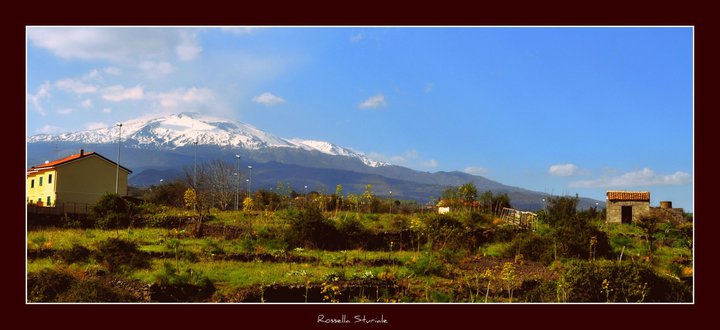 Imu agricola, scatta la protesta: “porteremo i nostri trattori in strada”