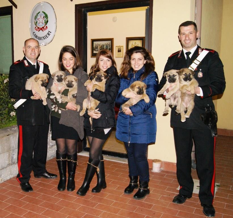 Abbandona 7 cuccioli. Scoperto e denunciato