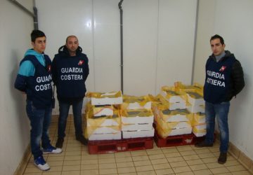 Riposto, sequestrati oltre 4 quintali di &ldquo;neonata&rdquo;