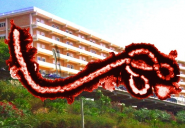 Ebola a Taormina? La parola a Roma