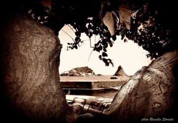 Aci Trezza, folto gruppo di commercianti contrario alla Ztl in via Provinciale