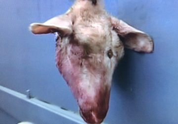 Acireale, perch&eacute; nulla accade per caso