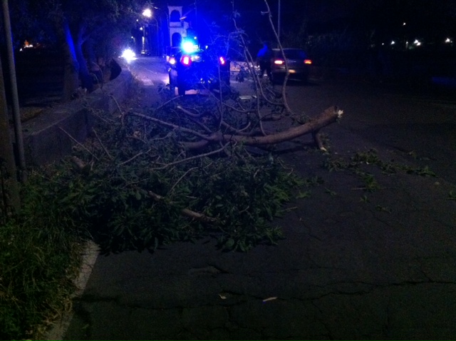Mascali, forti raffiche di vento. Albero sulla strada a S.Anna