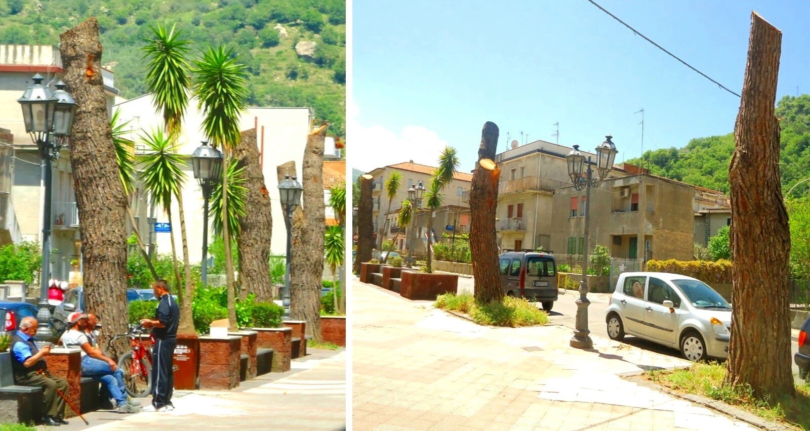 Francavilla di Sicilia e gli alberi “decapitati”