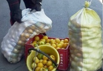 Riposto, carabinieri sventano furto di 600 chili di limoni: due arrestati