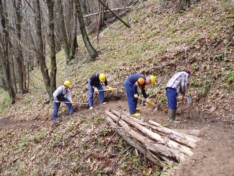 Forestali: dramma collettivo e pretesto eterno di linciaggio della Sicilia