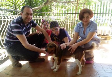 Trecastagni, fino a 500 euro di sconto sulla Tari per chi adotta un cane