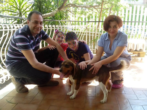 Trecastagni, fino a 500 euro di sconto sulla Tari per chi adotta un cane
