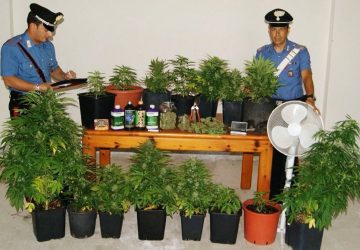 Acireale: fidanzati dediti alla coltivazione di “marijuana”. Arrestati