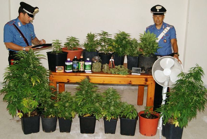 Acireale: fidanzati dediti alla coltivazione di “marijuana”. Arrestati