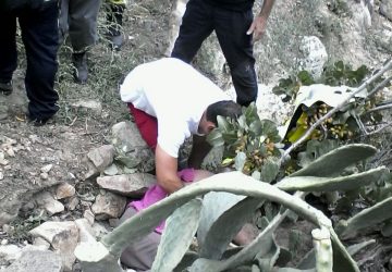 Ritrovata viva anziana donna dispersa a Bronte