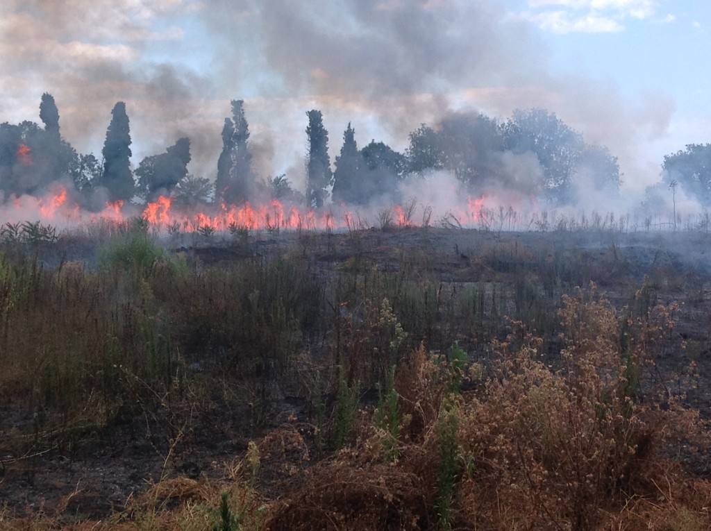 Allarme incendi a Mascali e Calatabiano