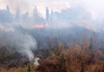 Zafferana, vasto incendio nella zona di via De Gasperi