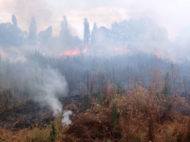 Zafferana, vasto incendio nella zona di via De Gasperi