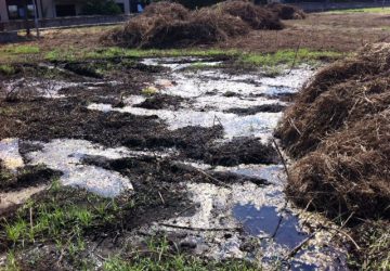 Giarre, dal buco alla palude VIDEO