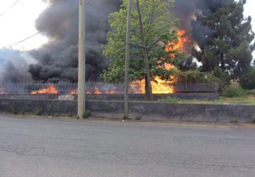 Via Settembrini, fiamme in una vasta area privata