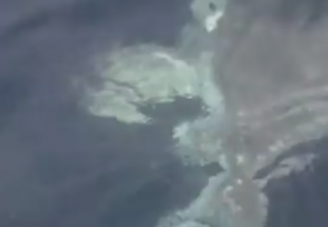 Capomulini: squalo vicino alla costa? Fortunatamente no VIDEO