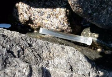 Aci Trezza: chi controlla il demanio marittimo &ldquo;libero&rdquo; affollato di bagnanti?