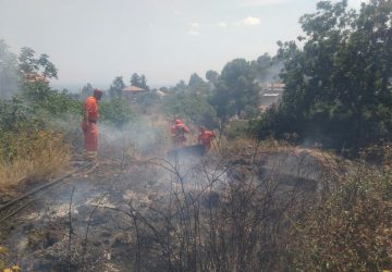 Nunziata di Mascali: incendio in una vasta area incolta