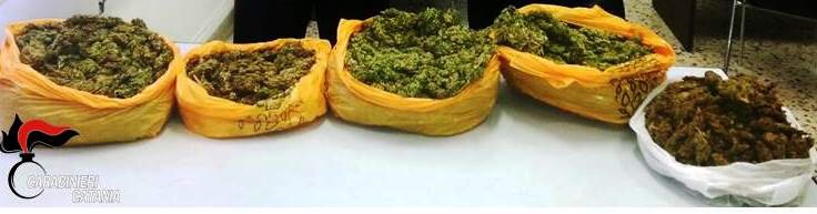 Patern&ograve;: trasportava 5 kg di marijuana nel portabagagli. Arrestato