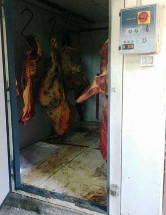 Aci Catena, scoperta macelleria clandestina