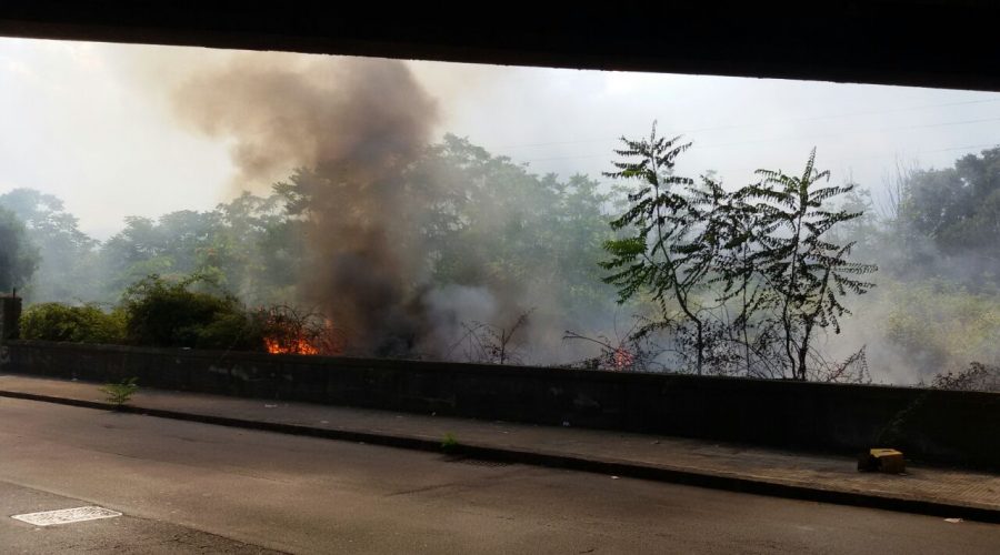Area a verde in fiamme sul viale don Minzoni