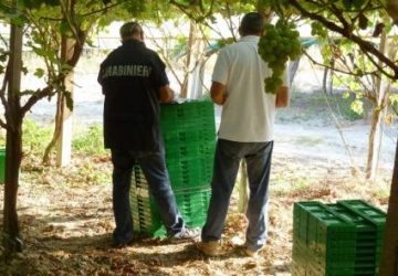 Controlli ad Acireale, Aci Catena, Mazzarrone e Caltagirone: chiuse 3 aziende e trovati 21 lavoratori in nero