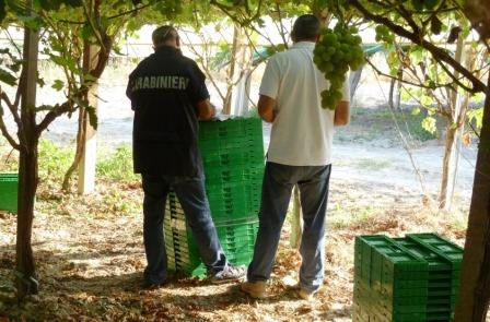 Controlli ad Acireale, Aci Catena, Mazzarrone e Caltagirone: chiuse 3 aziende e trovati 21 lavoratori in nero