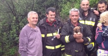 Mascali, cucciola salvata dai Vigili del fuoco. Rischiava di annegare sotto la pioggia