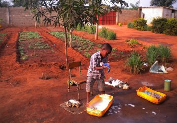 Trecastagni: Alfio Cavallaro al Prefetto: &ldquo;Pronti ad ospitare sino a 15 bambini immigrati&rdquo;