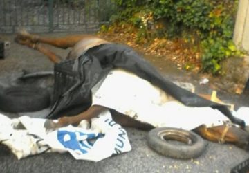 Trecastagni, Contrada Ronzini: dopo la cavalla morta fra la spazzatura, divelta la recinzione antidiscarica