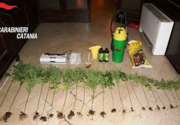 Catania, arrestato 16enne dal &ldquo;pollice verde&rdquo;: coltivava marijuana