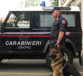 Giarre, blitz antidroga dei carabinieri